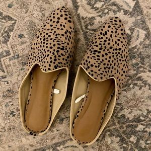 Target Brand | Leopard Mules